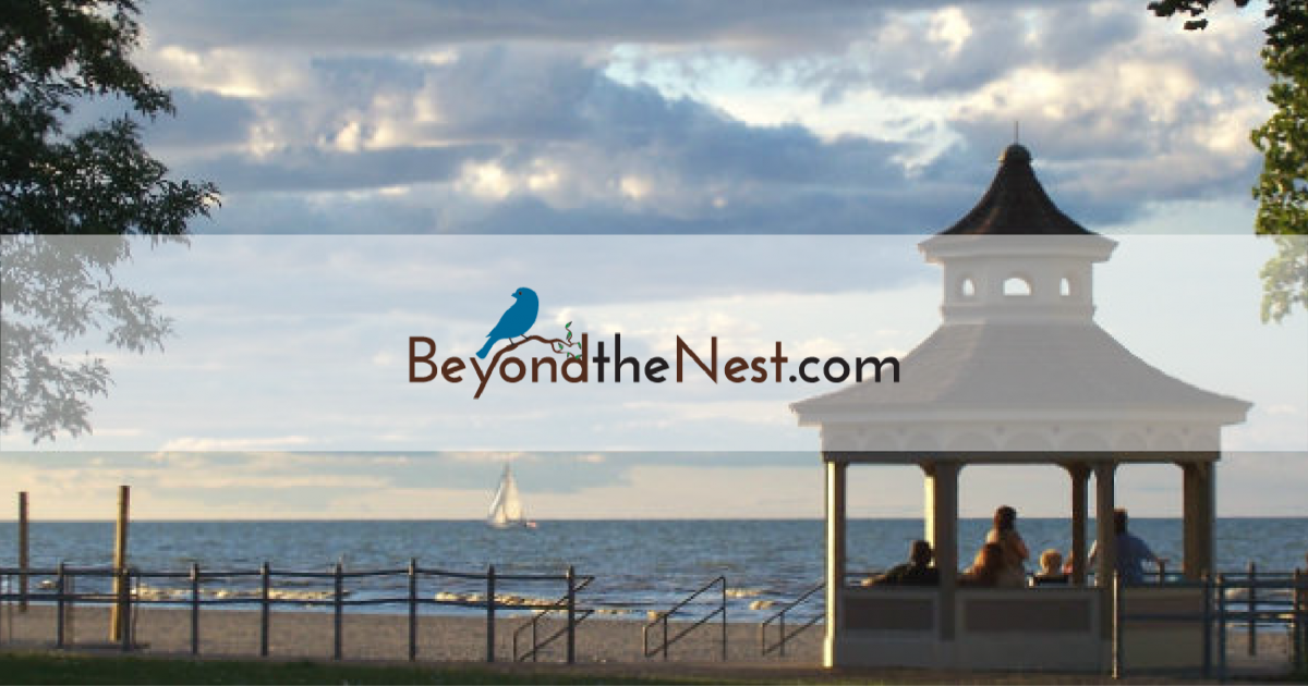 Arts, Culture, Recreation in the Buffalo New York Area | What's ...